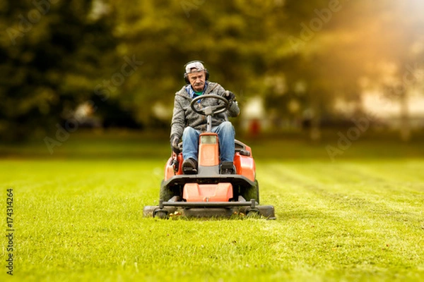 Obraz the lawn mower drives through a green meadow