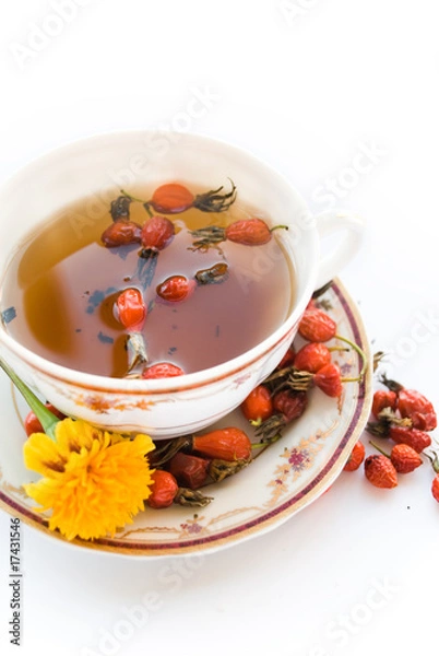 Obraz tea with a wild rose