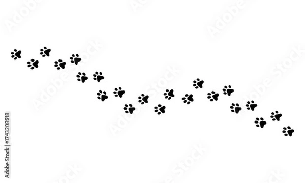 Obraz A winding trail of animal paw prints, depicted in black against a clean white background.
