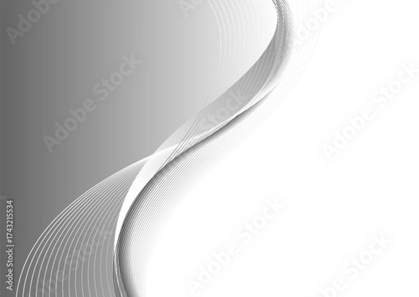 Fototapeta Grey white flowing elegant waves abstract minimal background. Vector design