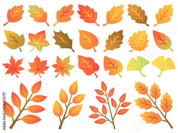 Fototapeta 色々な秋の紅葉と枝のイラストセット