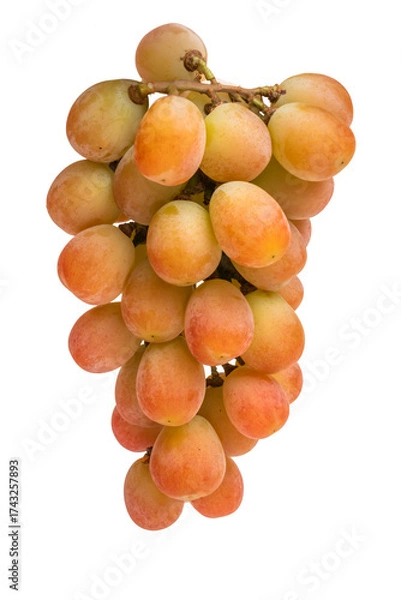 Obraz シャインマスカット　ぶどう　Shine Muscat and seasonal grapes 