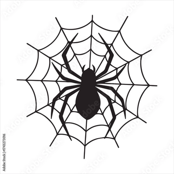 Fototapeta Detailed illustration of a realistic spider with intricate legs and body rendered in silhouette for graphic design projects