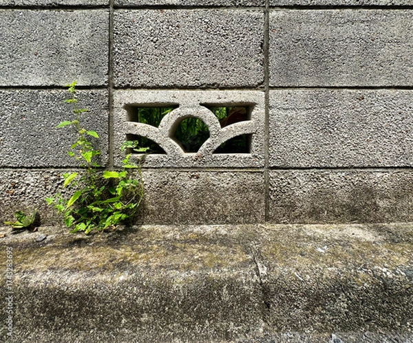 Fototapeta ブロック塀、壁、コンクリート、テクスチャ、質感、草