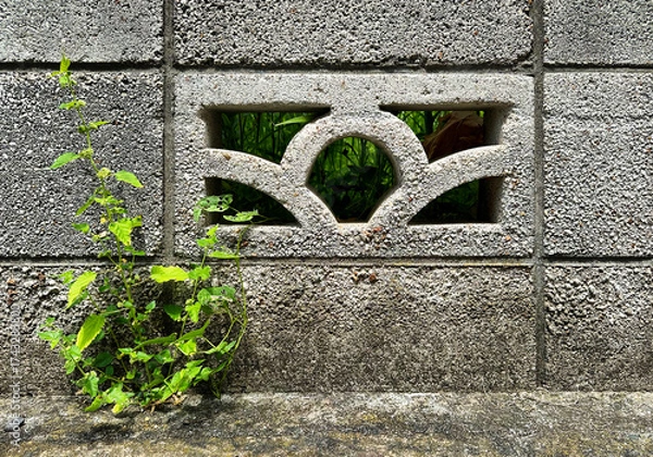 Fototapeta ブロック塀、壁、コンクリート、テクスチャ、質感、草