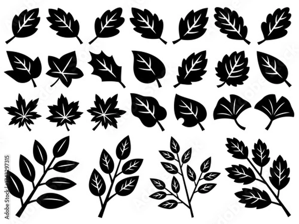 Fototapeta 葉っぱと枝の切り絵風シルエットイラストセット