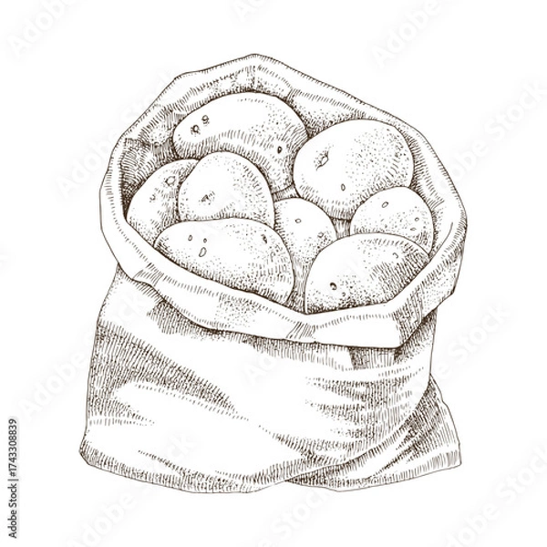 Fototapeta Sack of potatoes hand drawn vector