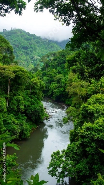 Obraz Lush rainforest river view