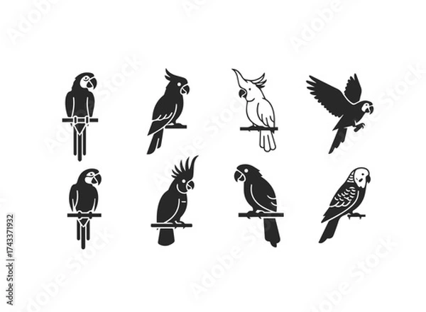 Obraz Collection of Stylized Parrot and Cockatoo Icons.