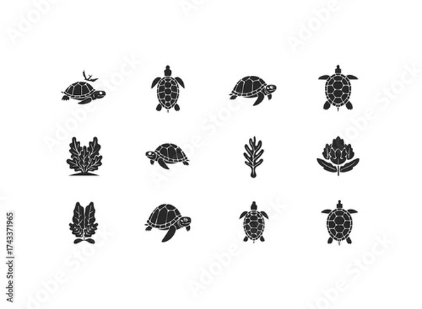 Fototapeta Collection of Stylized Turtle and Plant Icons.