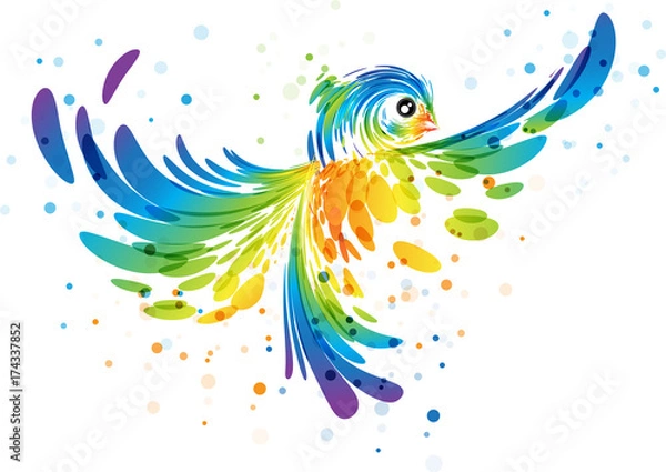 Fototapeta Splash kolorowy ptak fantasy