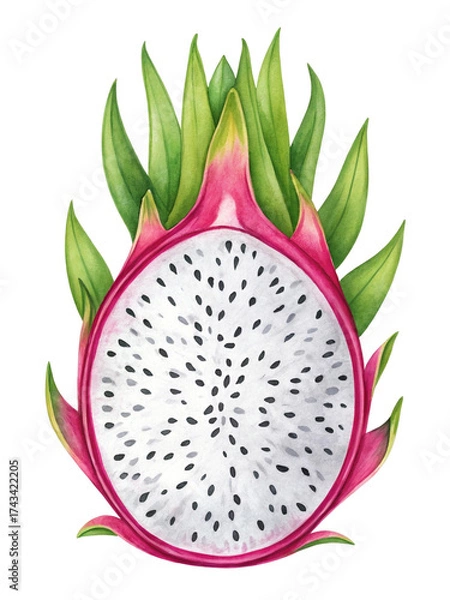 Fototapeta Dragon fruit slice isolated on transparent background