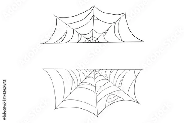 Fototapeta Spiderweb line border, frame. Gothic scary hanging net. Simple spooky halloween decoration. Cobweb spider trap.