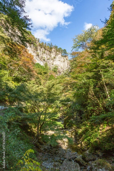 Fototapeta 木と山と青空