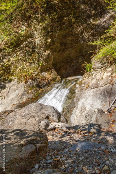 Fototapeta 大自然の中の小さな滝