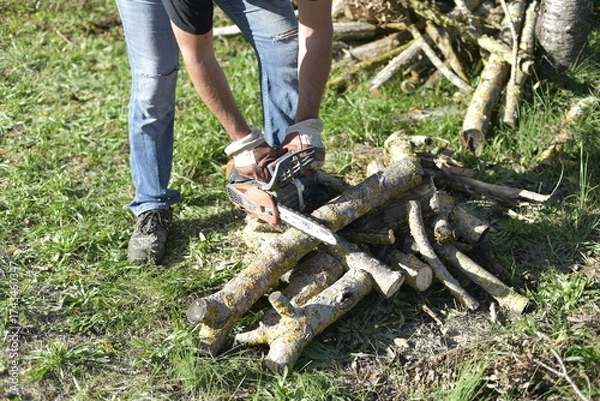 Obraz Homme préparant du bois de chauffage dans son jardin à l’automne. Man preparing firewood in his garden during autumn