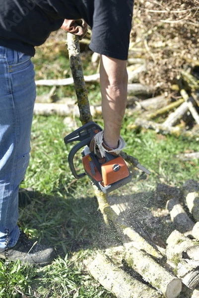 Obraz Homme coupant du bois à la tronçonneuse dans le jardin, travail manuel en automne / Man cutting firewood with a chainsaw outdoors in autumn
