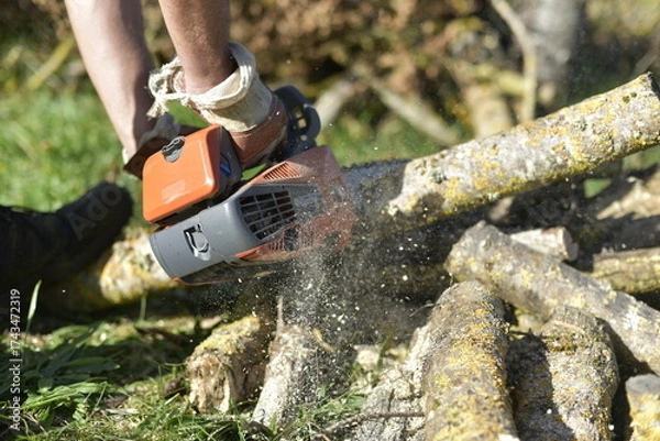 Fototapeta Gros plan sur une tronçonneuse en action coupant une bûche couverte de mousse / Close-up of chainsaw cutting a mossy log in autumn