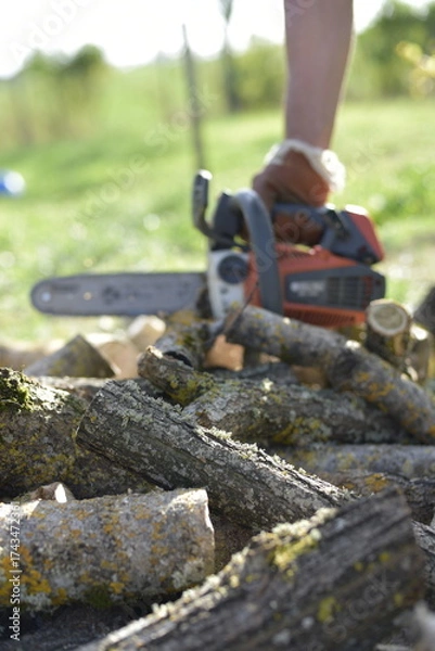 Obraz Gros plan sur une tronçonneuse en action coupant une bûche couverte de mousse / Close-up of chainsaw cutting a mossy log in autumn