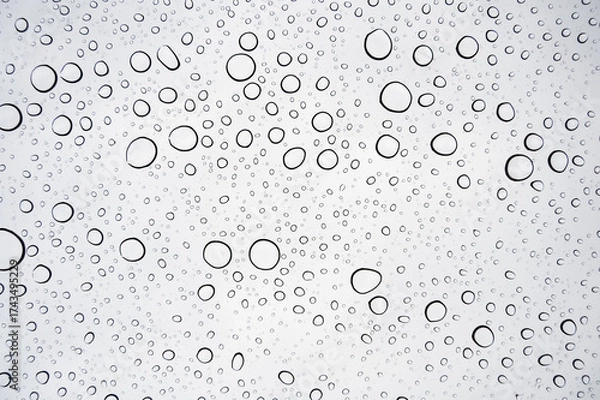 Fototapeta Raindrops on glass, Drops of rain on clear window.