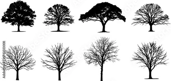 Fototapeta Tree Line Icon – Nature, Environment, and Growth Symbol Vector