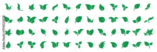 Fototapeta Green leaves icons set isolated on white background vector illustration. Vegan, tree, plant, fresh, energy and healthy nutrition concept. Leaf vector icons. Eco leaf logo. Simple linear leaves of tree