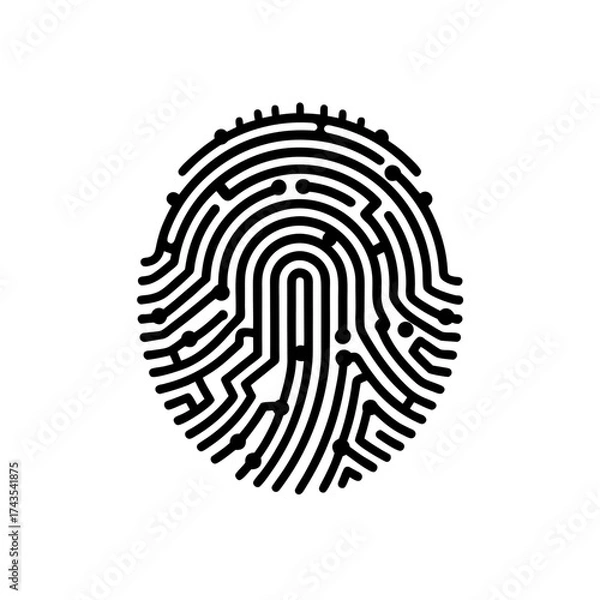 Fototapeta Digital fingerprint biometric technology art on transparent background silhouette
