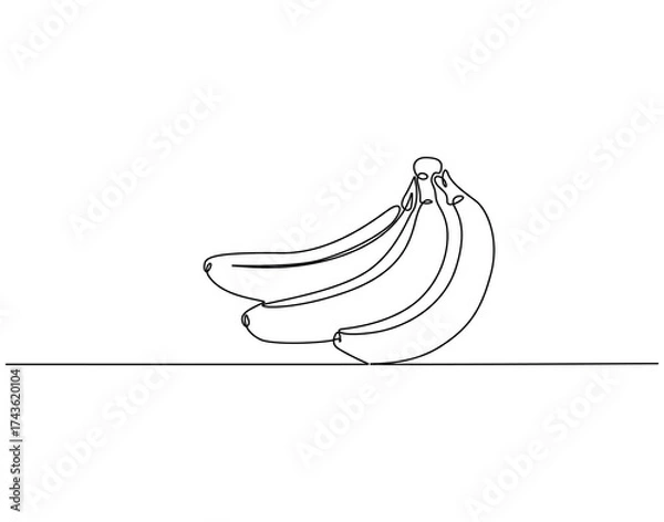 Fototapeta Continuous one line drawing of whole bunch of banana. One line drawing illustration of banana. Healty, fresh fruit concept single line. Editable outline