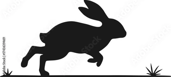 Fototapeta Design of rabbit running draw