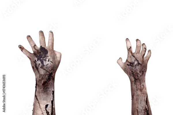 Fototapeta The zombies hand with wounds and blood try to reach something isolated over a white background. Zombie, devil, evil, satan, or monster hand. Concept of Halloween or Horror
