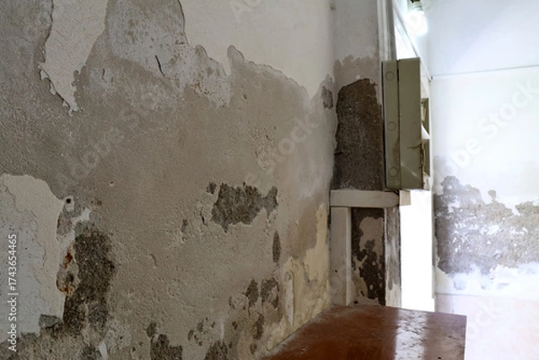 Fototapeta Severely Damaged Wall with Plaster Loss Caused by Rising Capillary Moisture 