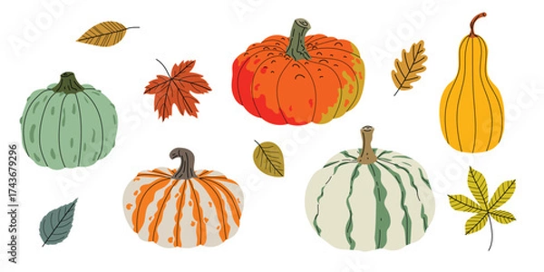 Obraz Fall pumpkin and autumn leaves set. Collection of seasonal vegetables and foliage in flat modern style. Best for Thanksgiving and harvest design. Vector illustration isolated on white background.