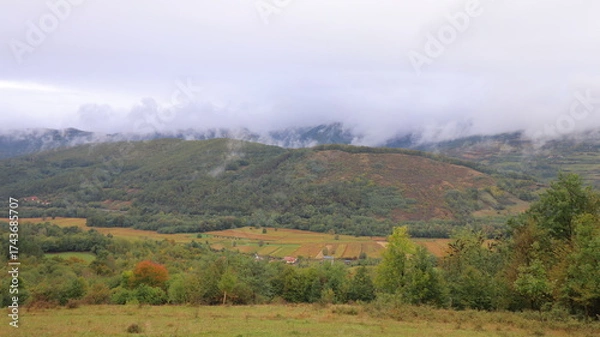 Obraz autumn landscape with fog