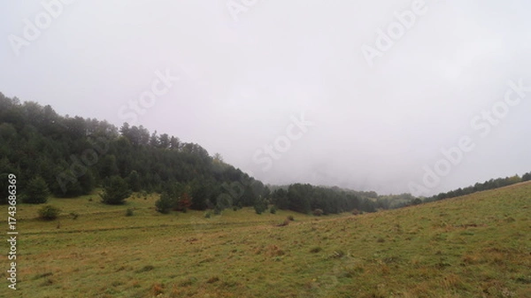 Obraz mountain landscape with fog
