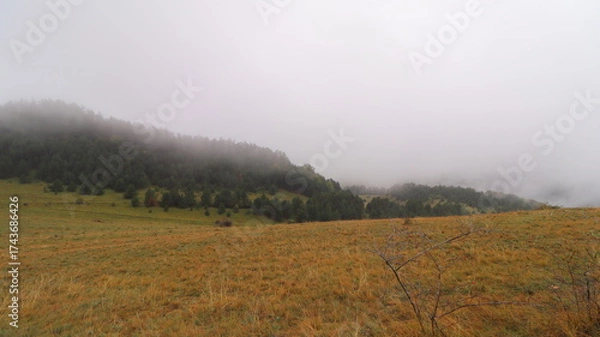 Obraz morning mist in the mountains