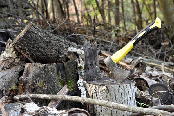 Fototapeta an axe in a stump. A close-up view of a rugged axe embedded in a wooden log, evoking notions of forestry, craftsmanship, and outdoor activities in nature. preparing firewood for the winter