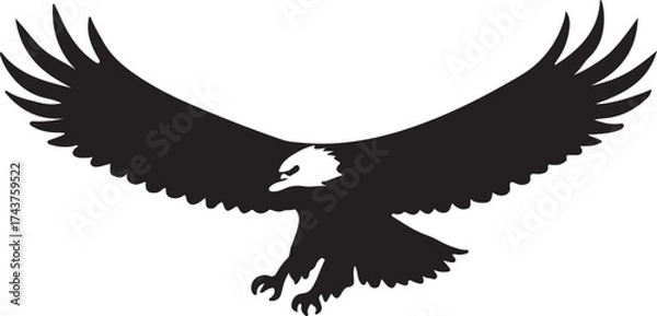 Obraz Eagle  vector shilhouette single collection
