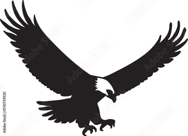 Obraz Eagle  vector shilhouette single collection
