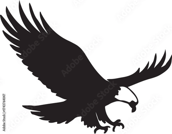 Obraz Eagle  vector shilhouette single collection
