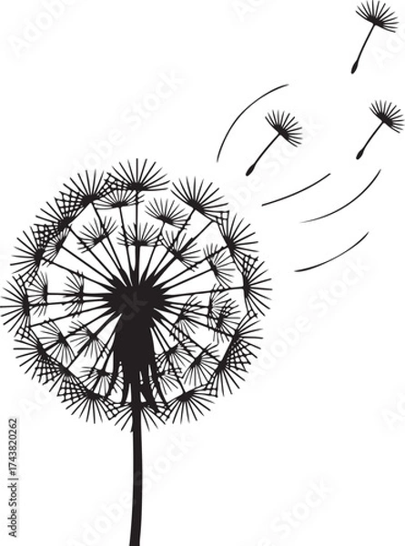 Fototapeta Dandelion Seed Head with Flying Seeds Line Art Illustration vector