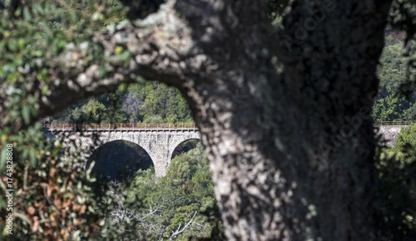 Obraz Ponte in Gallura, Sardegna