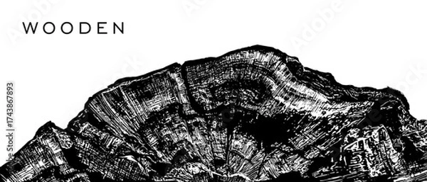 Fototapeta Cross section of old tree close up vector illustration