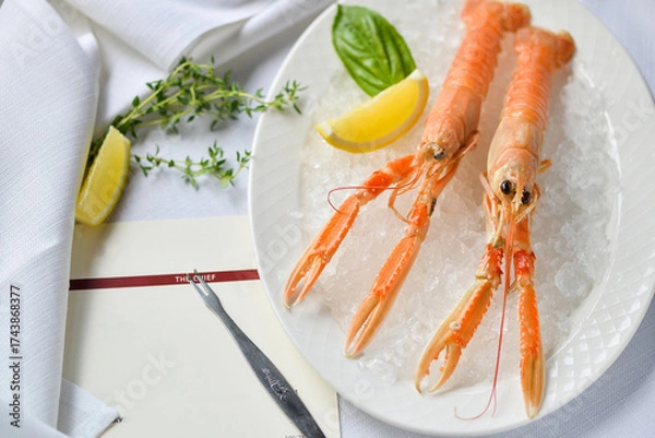 Fototapeta two freshly cooked scampi on ice in a white plate on the table