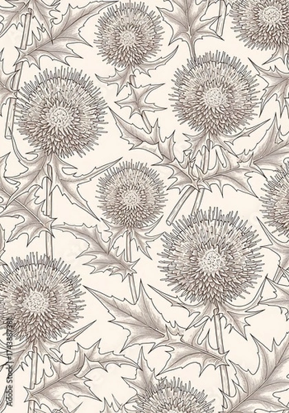 Fototapeta Intricate hand-drawn thistle pattern with spiky leaves and detailed heads