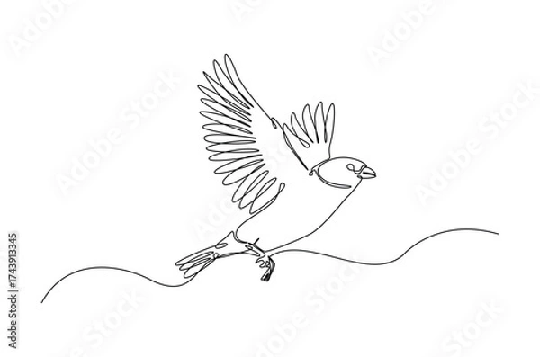 Fototapeta Flying sparrow bird in continuous one line drawing. Single line art illustration of cute sparrow bird. Editable vector.