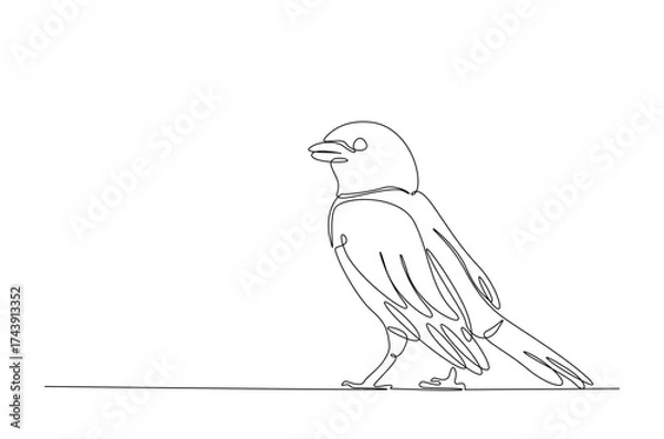 Fototapeta Flying sparrow bird in continuous one line drawing. Single line art illustration of cute sparrow bird. Editable vector.