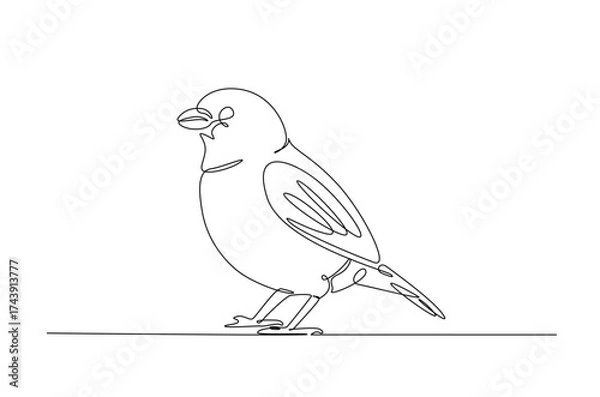 Fototapeta Flying sparrow bird in continuous one line drawing. Single line art illustration of cute sparrow bird. Editable vector.