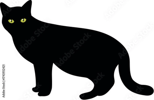 Obraz black cat silhouette