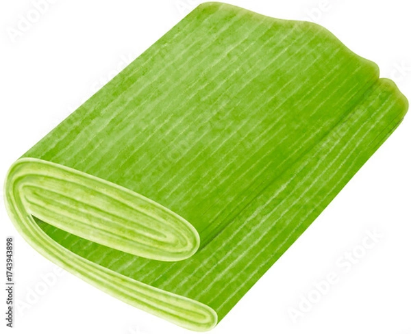 Obraz Watercolor Banana Leaves Folded