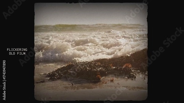 Fototapeta Vintage Flickering Film Overlays